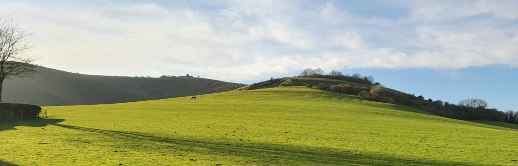 Hills of East Sussex. This is a visual banner to break up the page and does not contain any links.