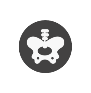 Hip Icon. Click for the Hip information pages